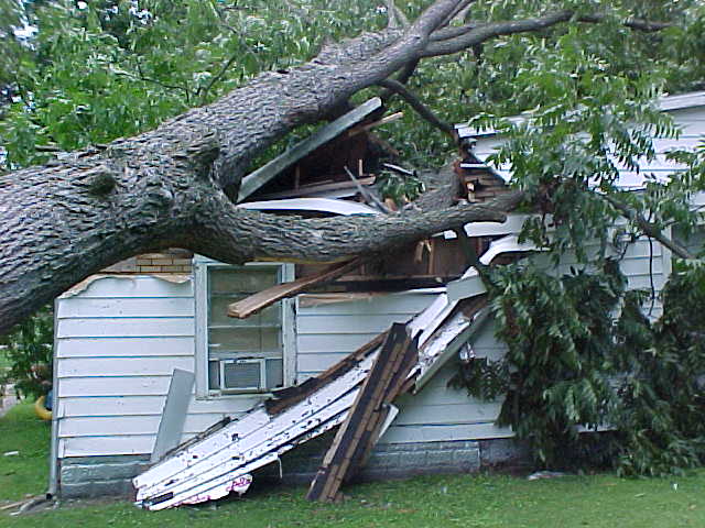 wind-damage
